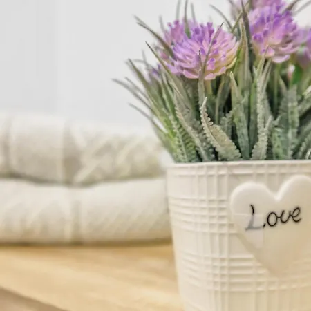 New Lofts Boutique Center * コルドバ