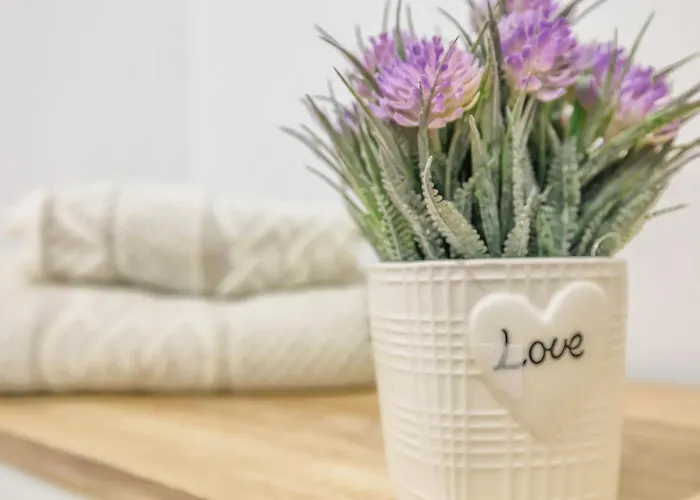 New Lofts Boutique Center * Κόρδοβα